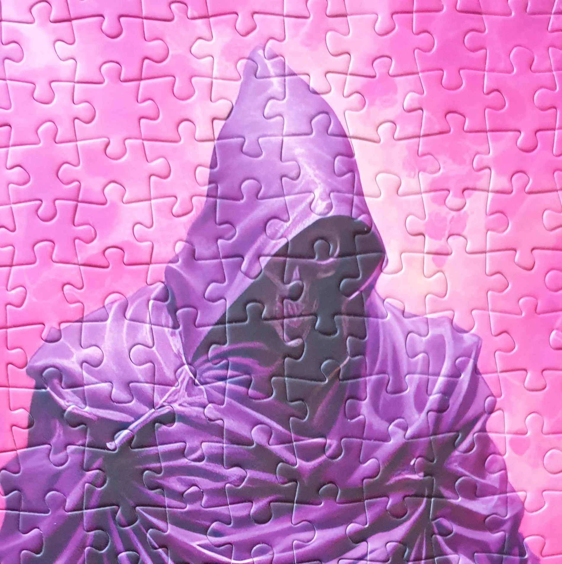 Chomik