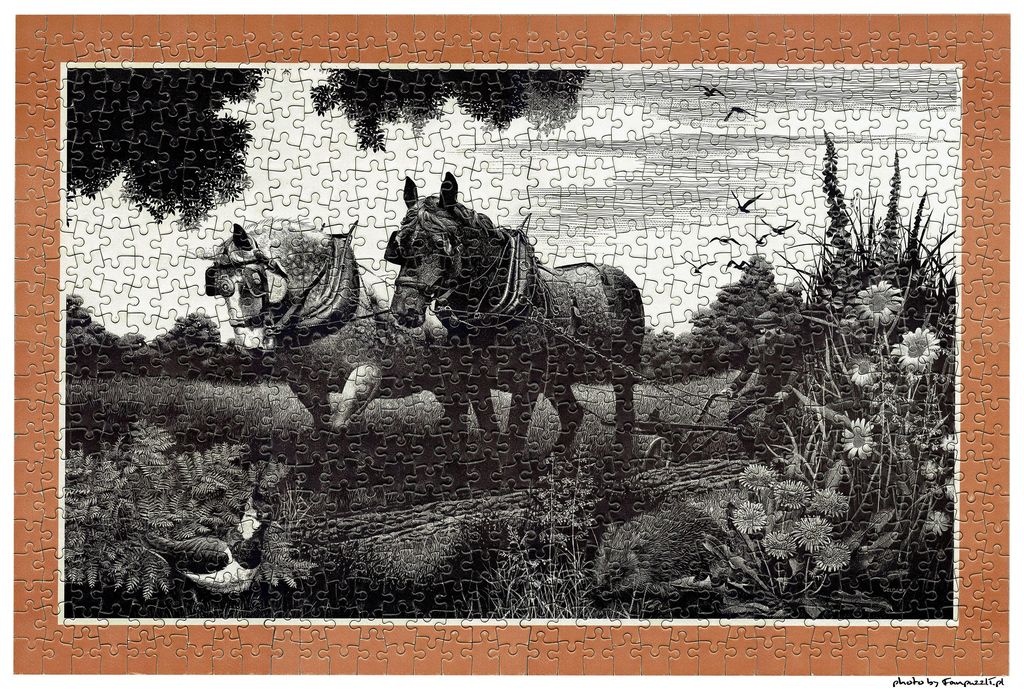 Obrazek puzzli