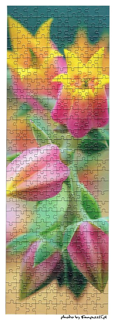 Obrazek puzzli