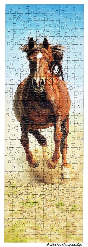 Obrazek puzzli