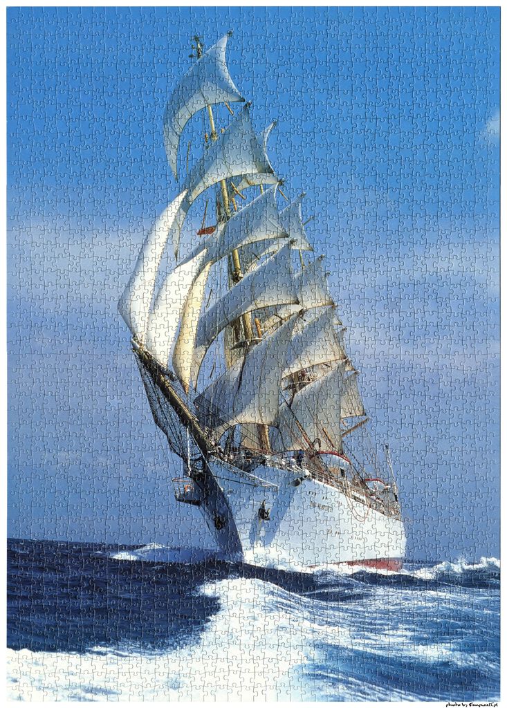 Obrazek puzzli