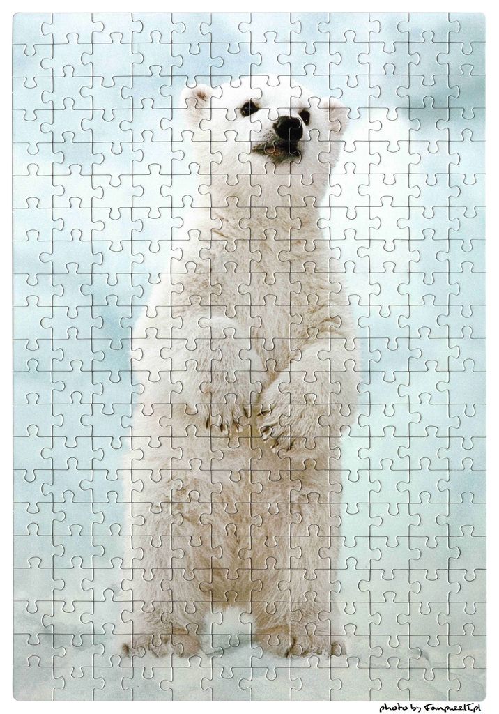 Obrazek puzzli
