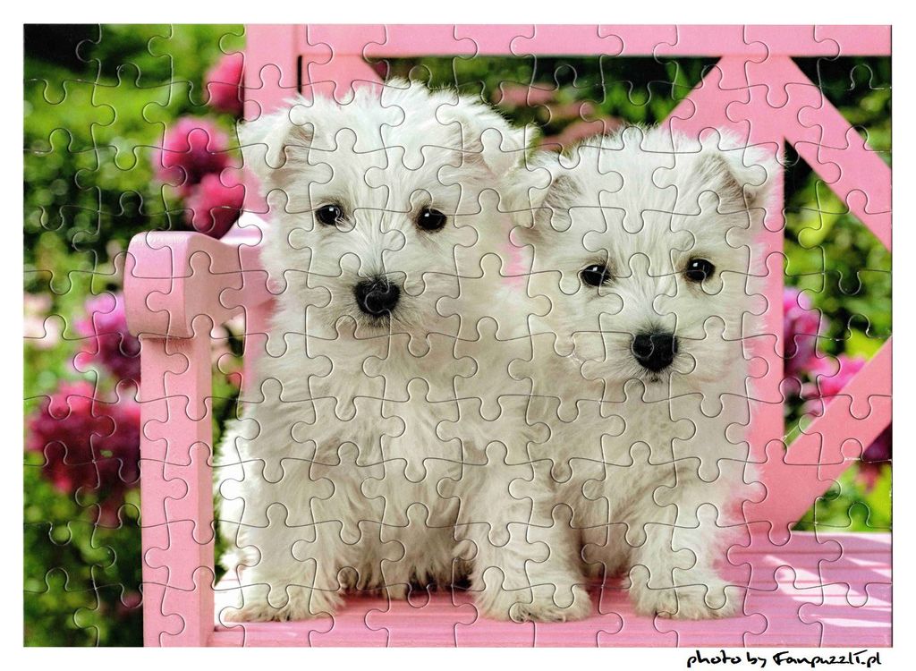 Obrazek puzzli