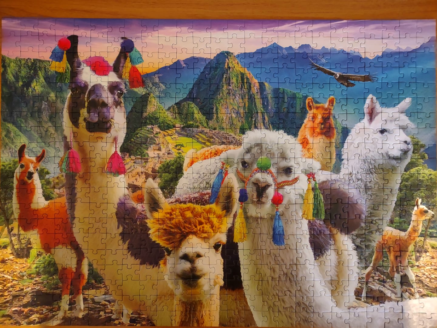 Obrazek puzzli