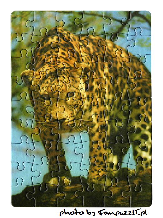 Obrazek puzzli
