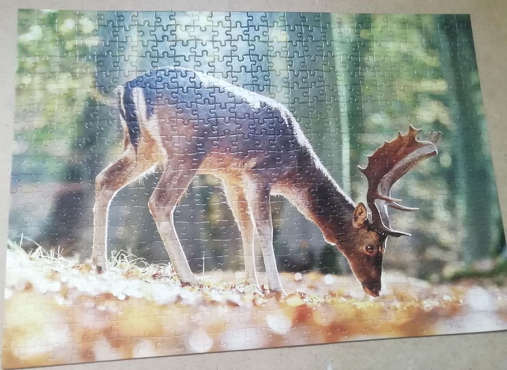 Obrazek puzzli