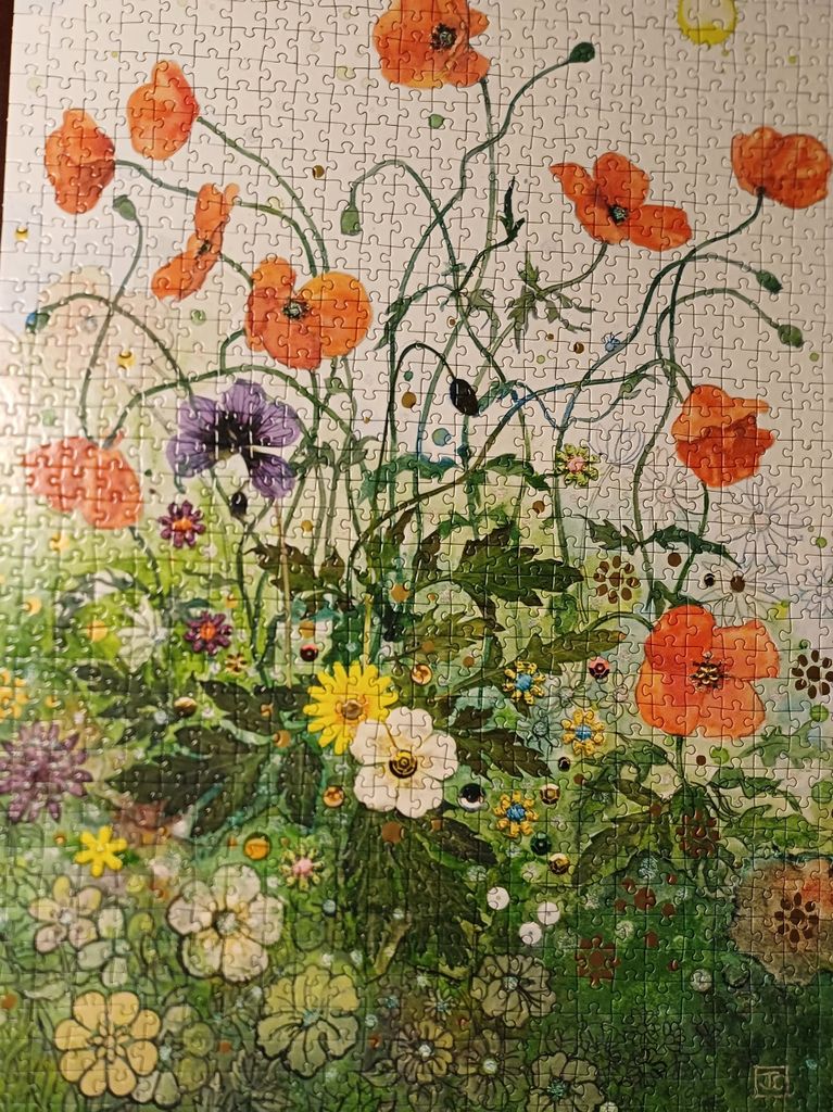 Obrazek puzzli