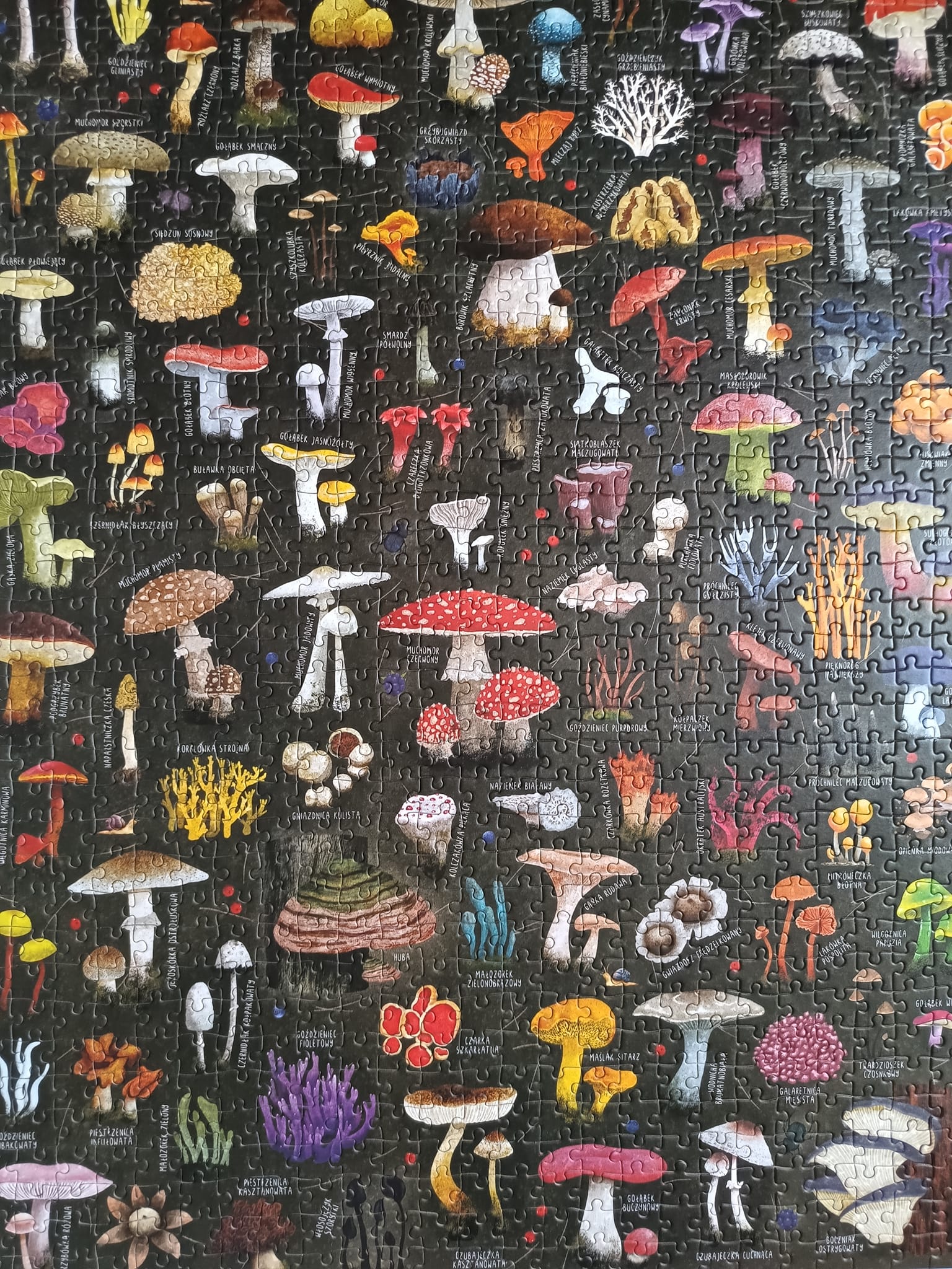 Obrazek puzzli