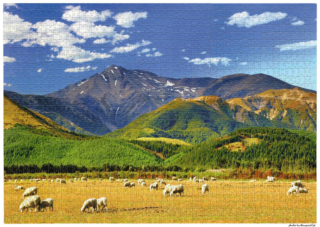 Obrazek puzzli