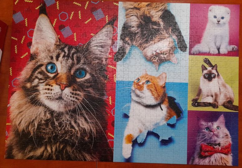Obrazek puzzli