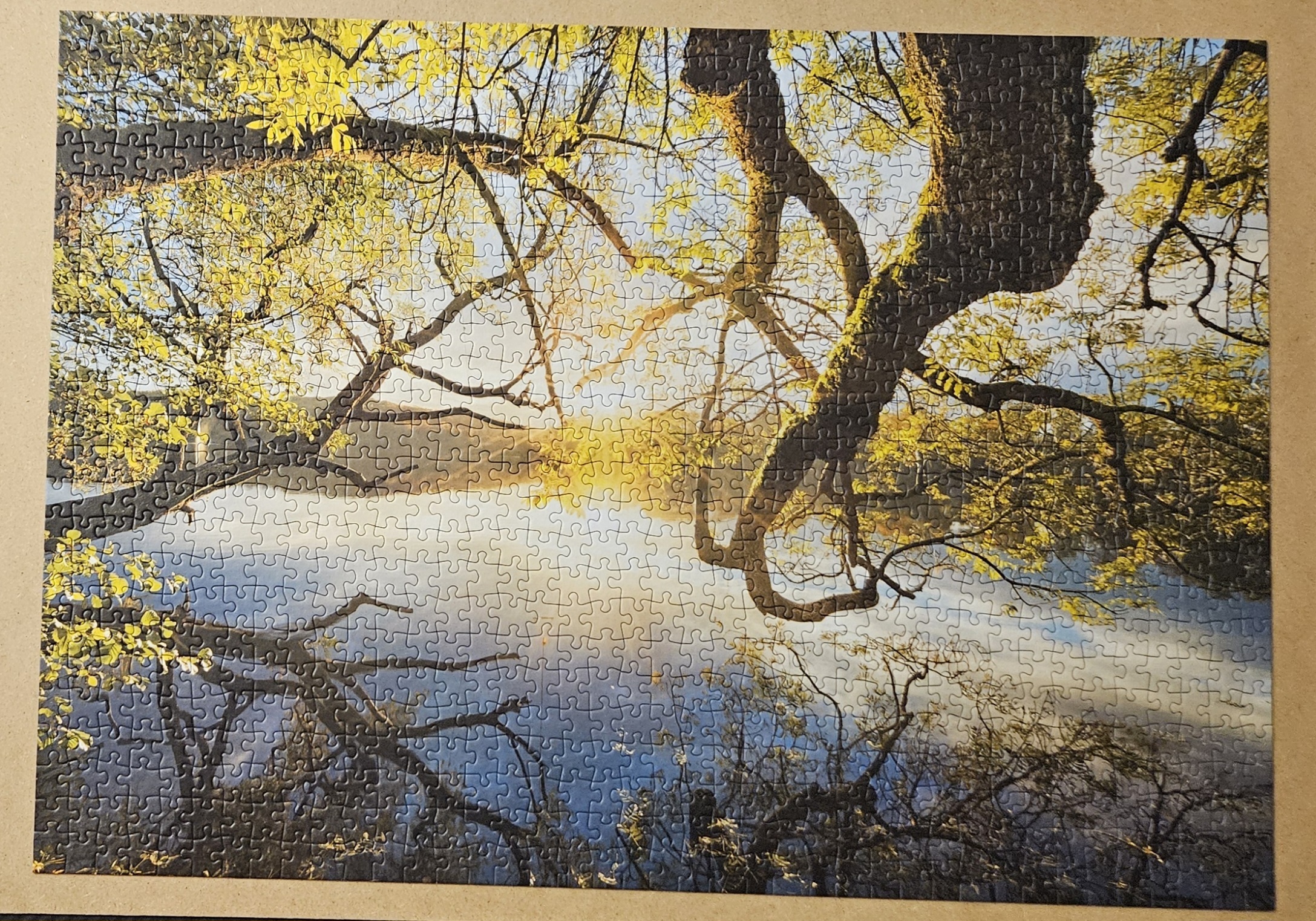 Obrazek puzzli