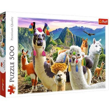Llamas in the Mountains