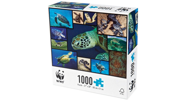 Sea Turtles