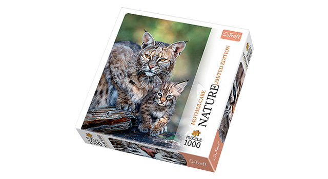 Bobcat