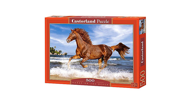 Horse On The Beach