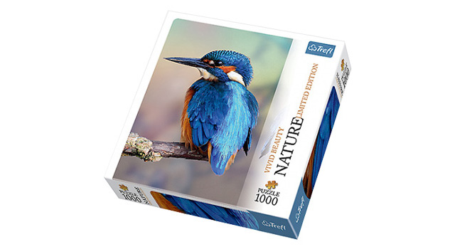 Kingfisher