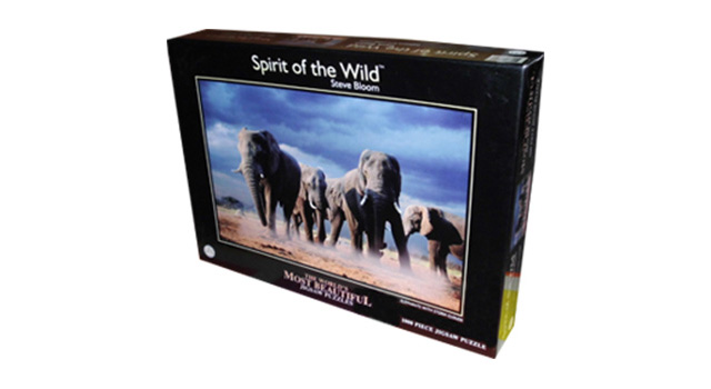 Elephants With Storm Clouds