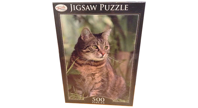 Tabby Cat