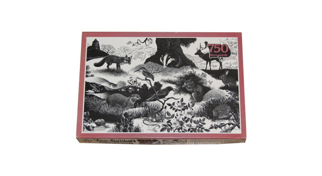 Woodland Scene