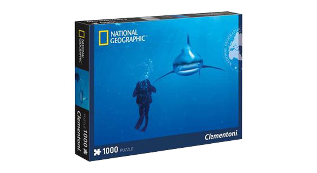 Whitetip Shark