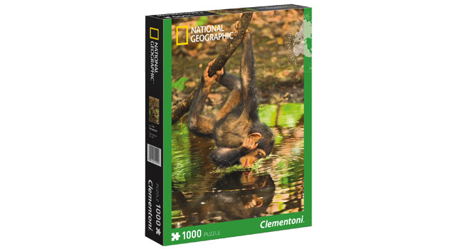 Chimpanzee