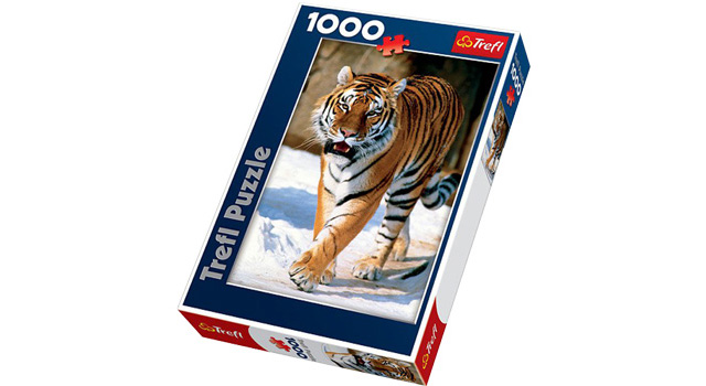 Siberian Tiger