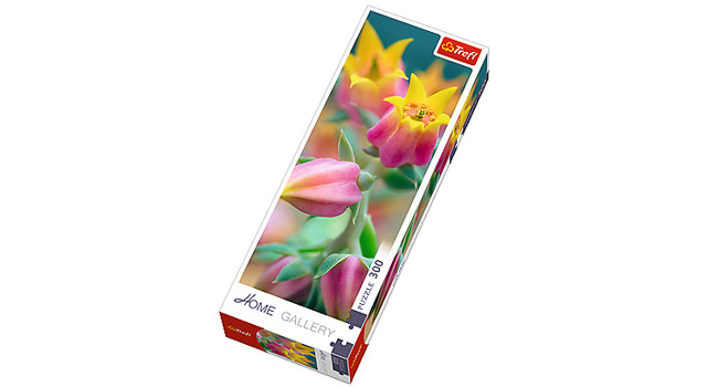 Flowers in Bloom