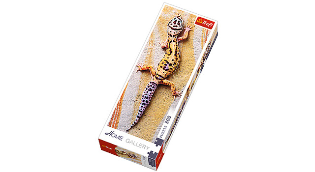 Basking Lizard