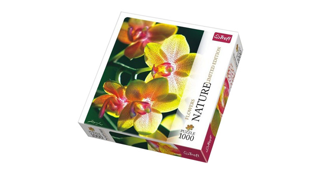 Orchid