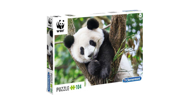 Cute Panda
