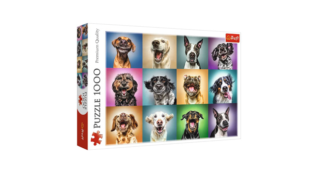 Funny Dog Portraits