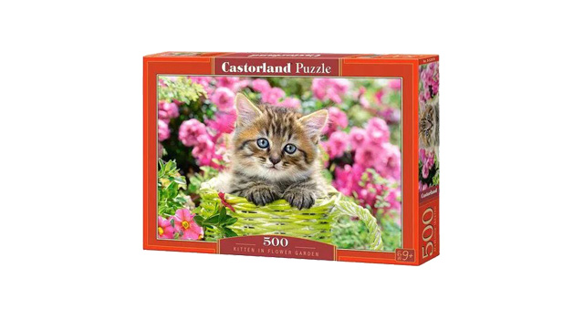 Kitten in Flower Garden