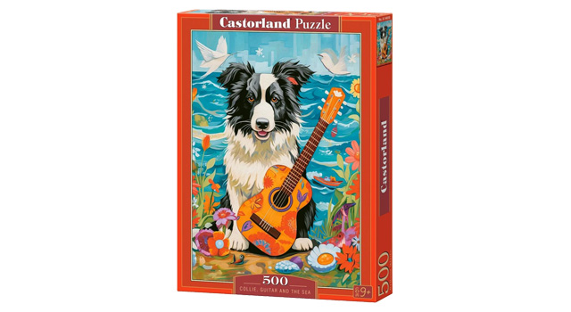 Collie, Guitar and the Sea