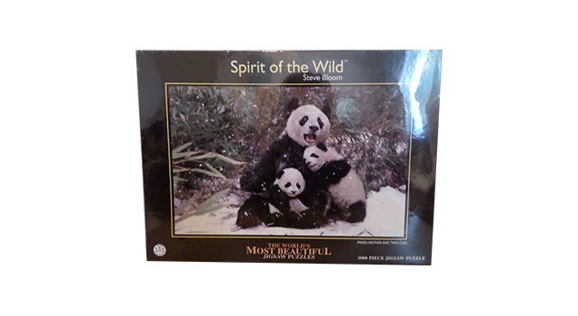 Panda Mother and Twin Cubs