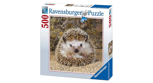 Cute Headgehog