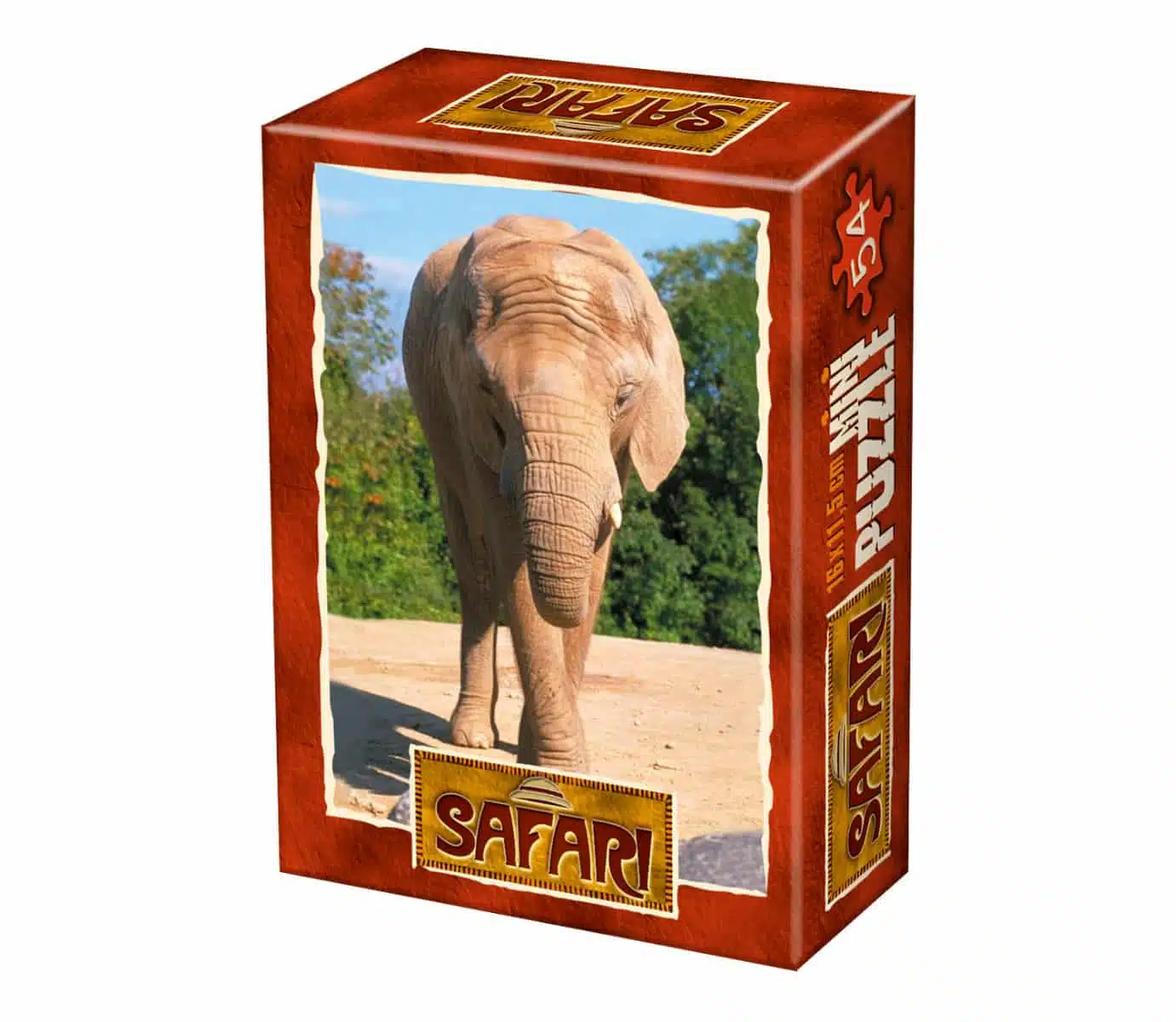 Baby Elephant