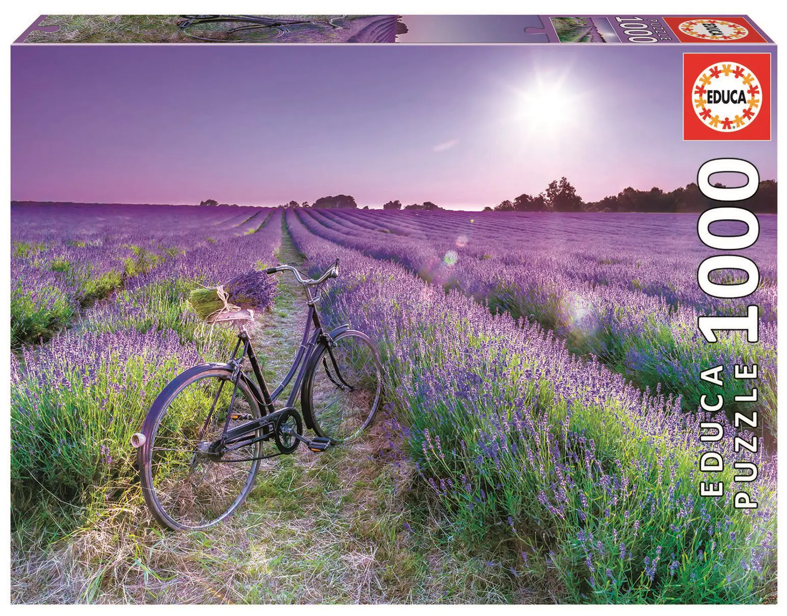 Bike in a Lavender Field