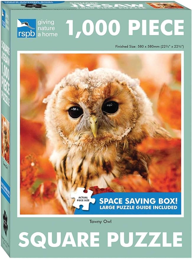 Tawny Owl