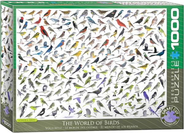 The World of Birds