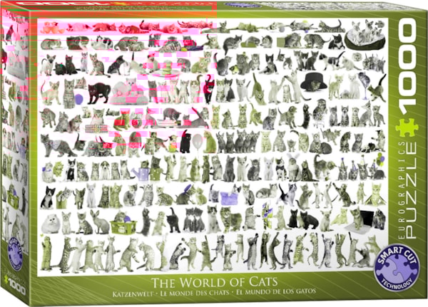 The World of Cats