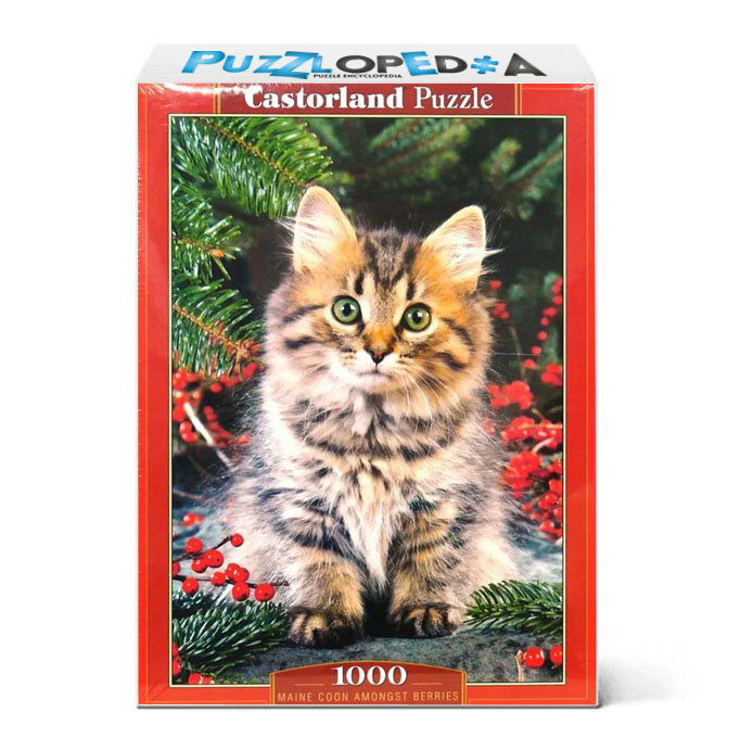 Maine Coon Amongst Berries