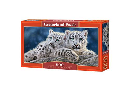 Snow Leopard Cubs