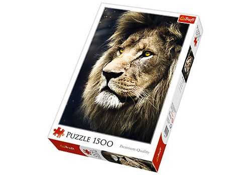 Lion's Portrait
