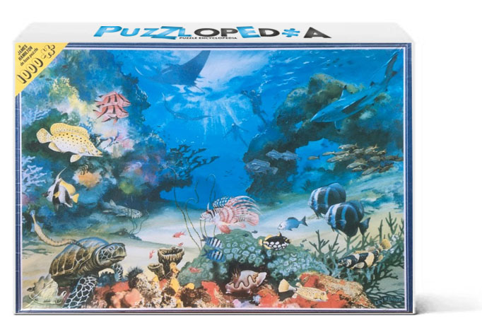 The Great Barrier Reef