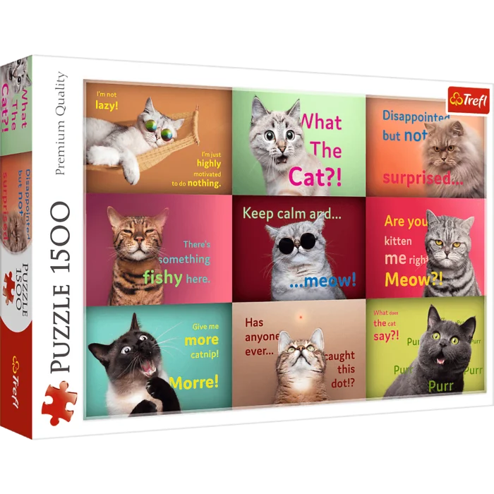 Funny Cats Faces
