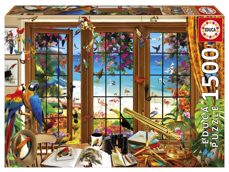 Bird Watcher'S Window