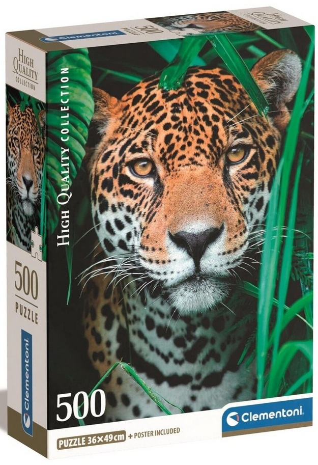 Jaguar in the Jungle