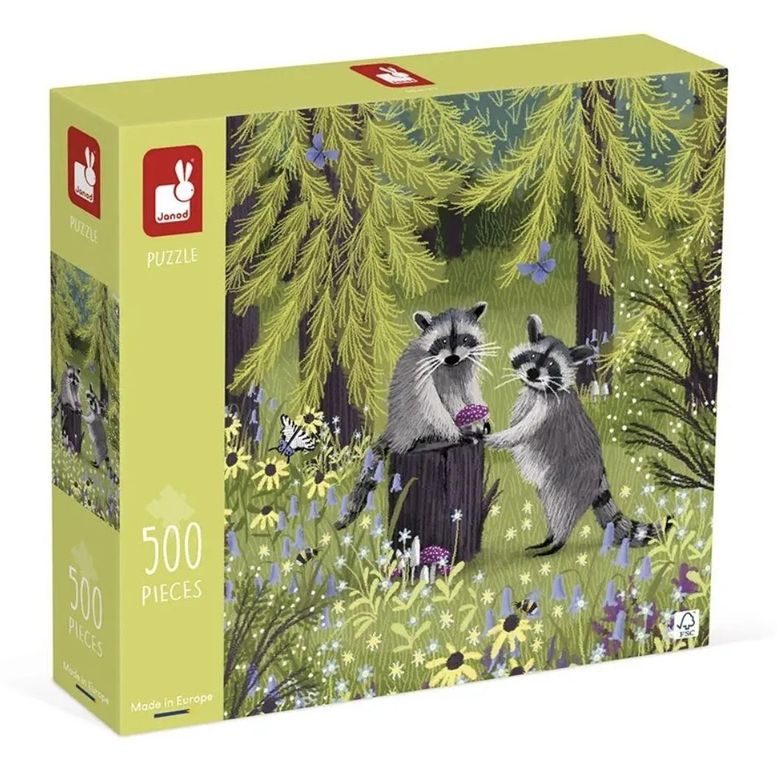 Mischievous Raccoons