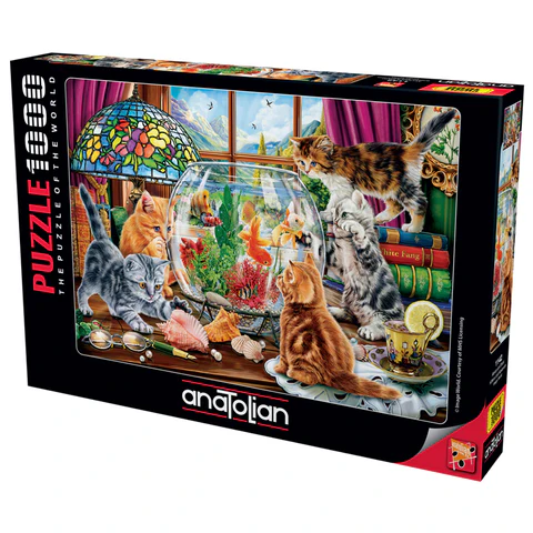 Kittens and Aquarium